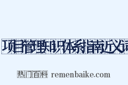 项目管理知识体系指南近义词是什么意思的图片